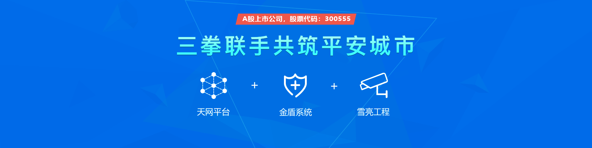 28圈(加拿大)物联雪亮工程三拳联手共筑平安城市